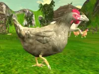 Chicken Shooting image
