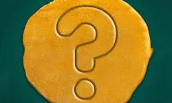 Squid Fan Test image