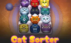 CatSorter Puzzle image