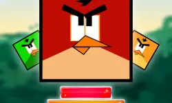 Jewel And Crazy Birds image