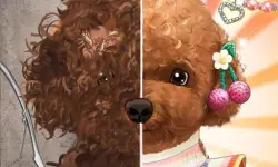 Pet Makeup Master image