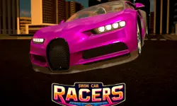 Swim Car Racers image
