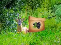 image bg Return To Alsunga Forest