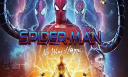 Spider Man : Multiverse image