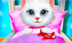 Kitty Bedtime Activities image