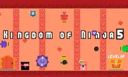 Kingdom of Ninja 5 image