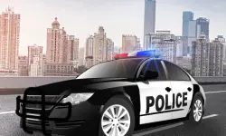 Police Car Drive image