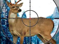 Stag Hunter image