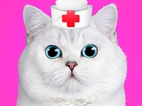 image bg Cat Pet Doctor Dentist