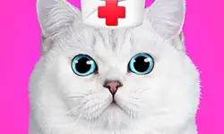 Cat Pet Doctor Dentist image