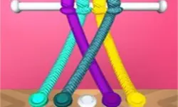 Tangle Master 3D image