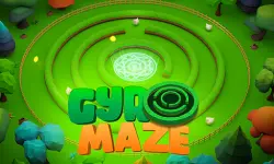 Gyro Maze 3d image