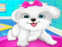 Puppy: Pet Salon & Dog Daycare image
