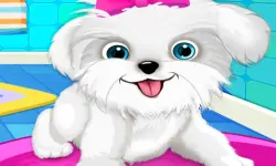 Puppy: Pet Salon & Dog Daycare image