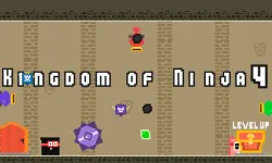 Kingdom of Ninja 4 image