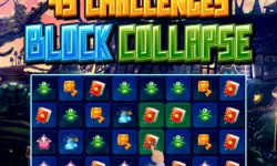 45 Challenges Block Collapse image