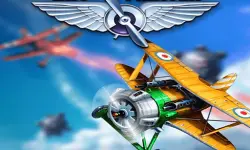 Sky Fighter image
