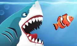 Angry Sharks image