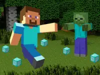 Minecraft Hidden Diamond Blocks image