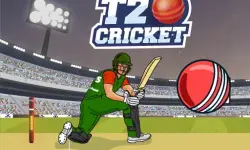 T20 Cricket image