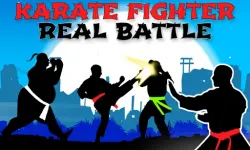 Karate Fighter : Real battles image