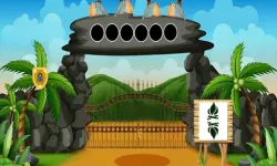 Rocky Village Escape image