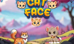 image bg Cat Face