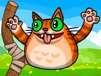 Angry Cat Shot image