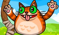 image bg Angry Cat Shot