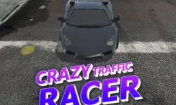 Crazy Traffic Racer image