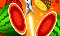 Fast Fruit Master image