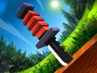Knife Flipp image