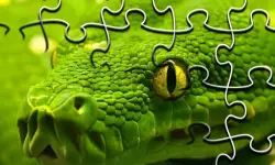 Snakes Jigsaw Puzzle image