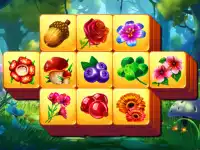 image bg Spring Tile Master