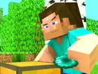 Master Craft image