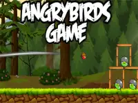 AngryBird image