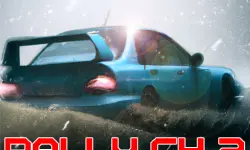 Rally Championship 2 image