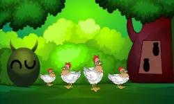 Find the jack cat image