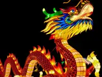 Dangerous Dragons Jigsaw image