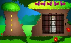 Senior Dog Escape image