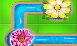 Water Connect Flow image