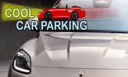 Cool Car Parking image