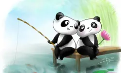 Pandas Slide image