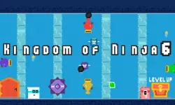 Kingdom of Ninja 6 image