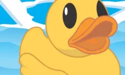 Help The Duck image