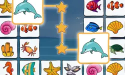 Connect Master image