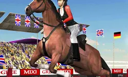 Horse Jumping Show 3D image