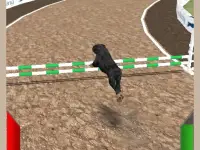 Crazy Real Dog Race image