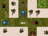 image bg Spider Defense