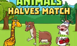 Animals Halves Match image